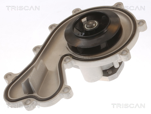 TRISCAN Vandpumpe 860029096 for PORSCHE