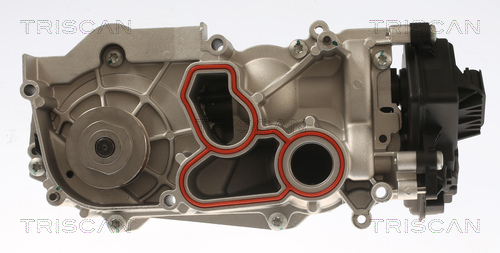 TRISCAN Vandpumpe 8600 29101 for VW CUPRA