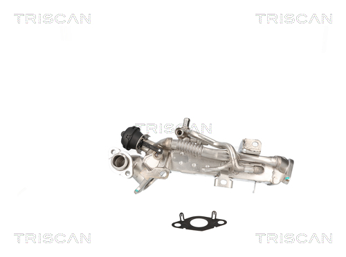 TRISCAN Køler, udstødningsgastilbageføring 8813 11024 for BMW