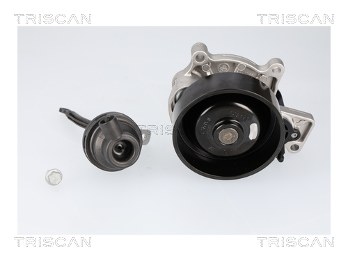 TRISCAN Vandpumpe 8600 11070 for MINI BMW