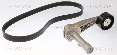TRISCAN Kileremssæt 8642 28051 for PEUGEOT DS