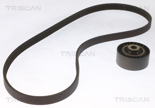 TRISCAN Kileremssæt 8642 25015 for DACIA