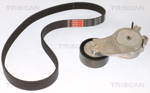 TRISCAN Kileremssæt 8642 16010 for FORD