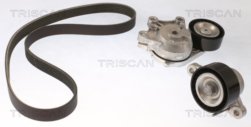 TRISCAN Kileremssæt 8642 10044 for DS