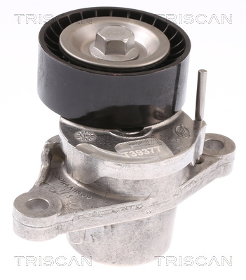 TRISCAN Remstrammer, kilerem 8641103050 for DS PEUGEOT