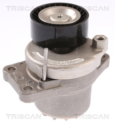 TRISCAN Remstrammer, kilerem 8641103051 for PEUGEOT VAUXHALL DS OPEL TOYOTA