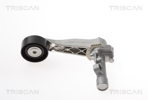 TRISCAN Remstrammer, kilerem 8641103047 for VAUXHALL MINI PEUGEOT DS DS (CAPSA)
