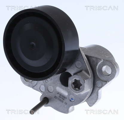 TRISCAN Remstrammer, kilerem 8641293054 for VW (SVW) VW SKODA (SVW) AUDI (FAW)