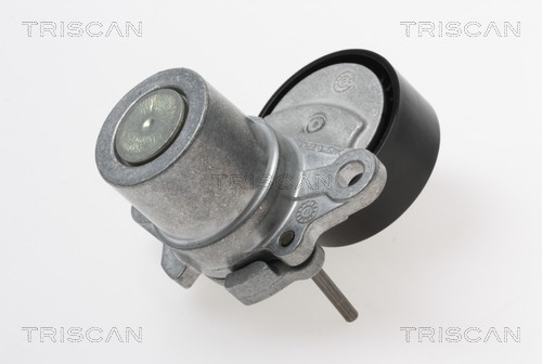 TRISCAN Remstrammer, kilerem 8641293055 for VW SKODA (SVW) AUDI (FAW) VW (SVW)