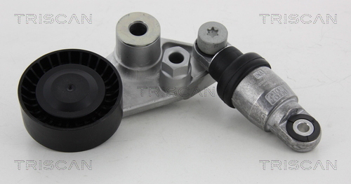 TRISCAN Remstrammer, kilerem 8641443001 for SSANGYONG