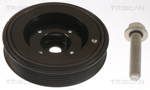 TRISCAN Remskive, krumtapaksel 864329013 for VW (FAW) SKODA (SVW) VW CUPRA SEAT AUDI AUDI (FAW)