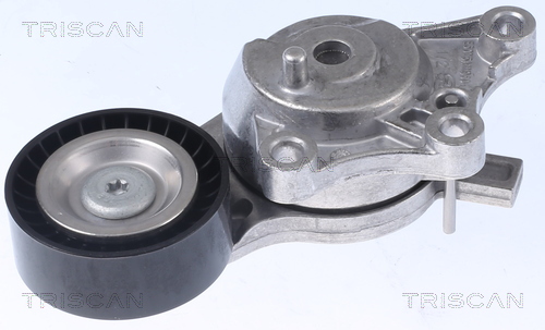 TRISCAN Remstrammer, kilerem 8641103054 for DS