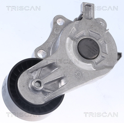 TRISCAN Remstrammer, kilerem 8641 103054 for DS