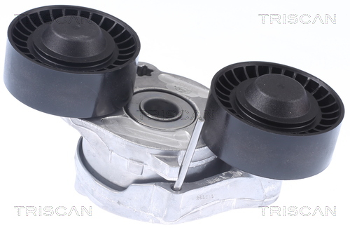 TRISCAN Remstrammer, kilerem 8641173006 for JAGUAR LAND ROVER