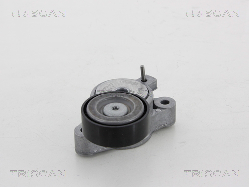 TRISCAN Remstrammer, kilerem 8641293044 for VW
