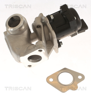 TRISCAN EGR-ventil 881310018 for FORD VOLVO MAZDA MINI