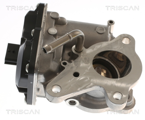 TRISCAN EGR-ventil 881310116 for OPEL VAUXHALL MERCEDES-BENZ NISSAN RENAULT