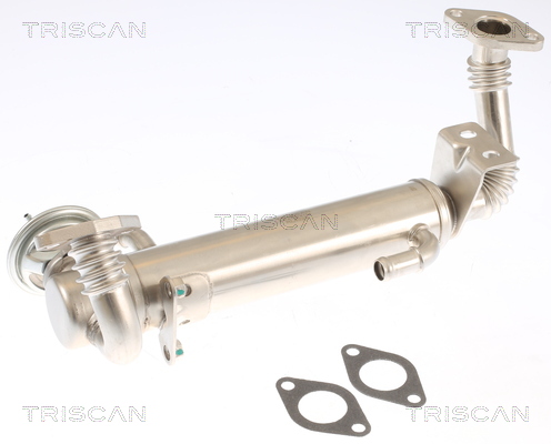 TRISCAN EGR-ventil 881315074 for IVECO