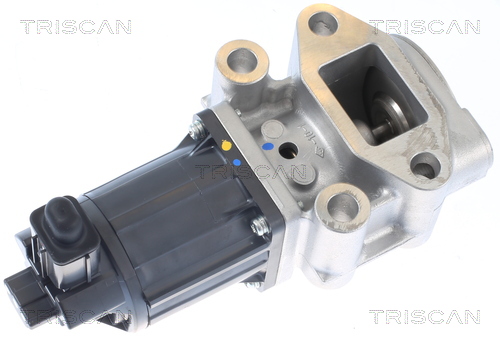 TRISCAN EGR-ventil 881342001 for MITSUBISHI