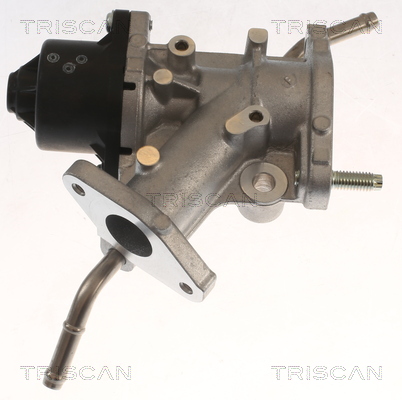 TRISCAN EGR-ventil 881313068 for TOYOTA
