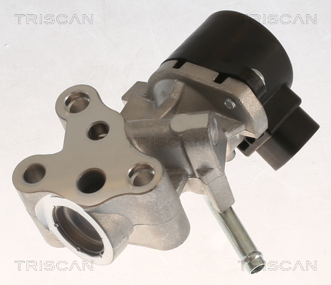 TRISCAN EGR-ventil 881313069 for PEUGEOT TOYOTA