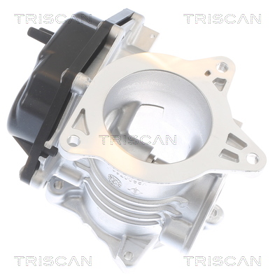 TRISCAN EGR-ventil 8813 29348 for VW