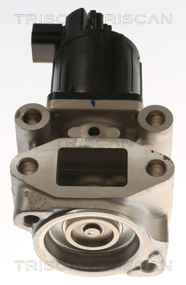 TRISCAN EGR-ventil 8813 42002 for MITSUBISHI
