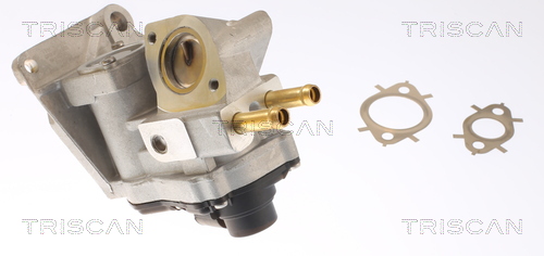 TRISCAN EGR-ventil 881342002 for MITSUBISHI