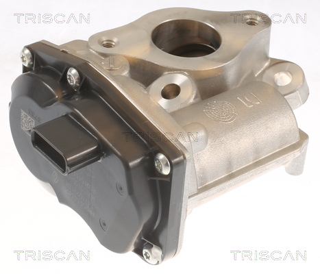 TRISCAN EGR-ventil 881310055 for MERCEDES-BENZ DACIA