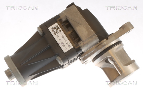 TRISCAN EGR-ventil 881310053 for FORD VOLVO CITROËN