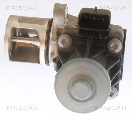 TRISCAN EGR-ventil 8813 10053 for FORD VOLVO PEUGEOT