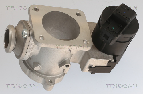 TRISCAN EGR-ventil 881311020 for BMW