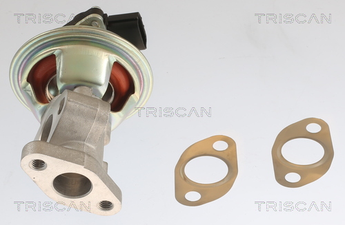 TRISCAN EGR-ventil 881310054 for FORD USA MAZDA