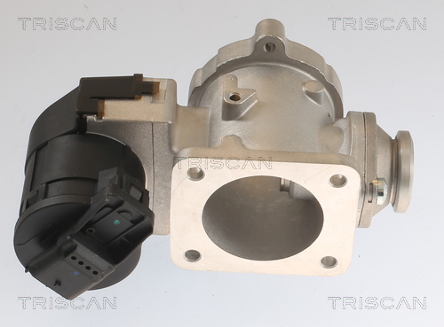 TRISCAN EGR-ventil 8813 11020 for BMW