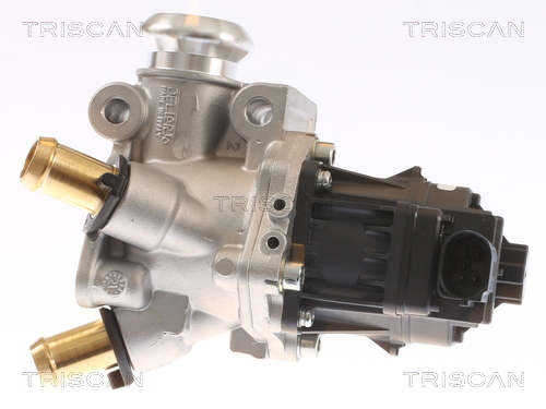 TRISCAN EGR-ventil 881315076 for FIAT