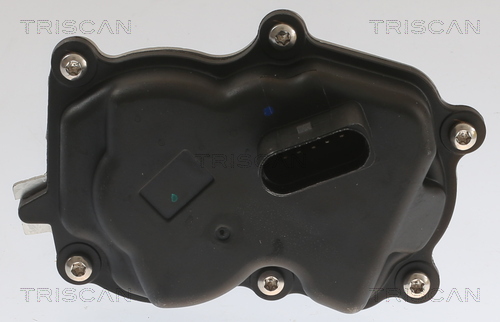TRISCAN EGR-ventil 881329083 for VW