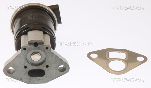 TRISCAN EGR-ventil 881340003 for HONDA
