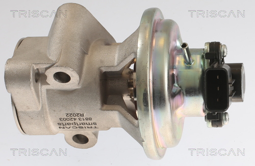 TRISCAN EGR-ventil 881342003 for MITSUBISHI