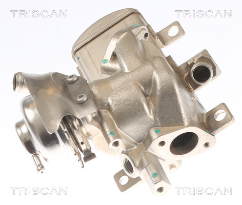 TRISCAN EGR-ventil 881329347 for VW