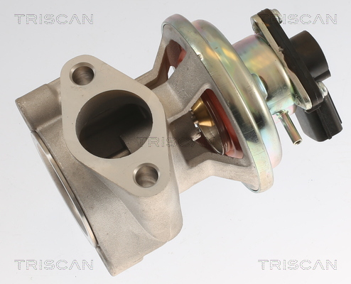 TRISCAN EGR-ventil 8813 42003 for MITSUBISHI
