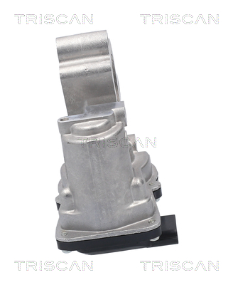 TRISCAN EGR-ventil 881310056 for FIAT MERCEDES-BENZ NISSAN DACIA