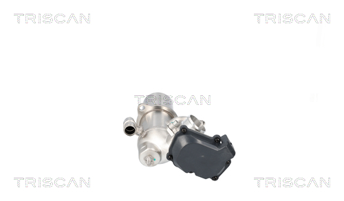 TRISCAN EGR-ventil 881329117 for AUDI
