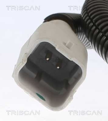 TRISCAN ABS Sensor 818015239 for FIAT
