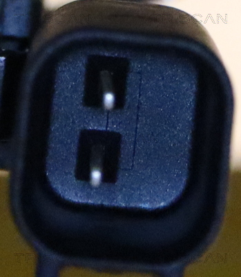 TRISCAN ABS Sensor 818081104 for TESLA