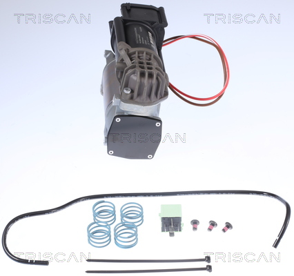 TRISCAN Kompressor, trykluftanlæg 8725 11101 for BMW