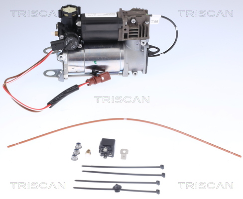 TRISCAN Kompressor, trykluftanlæg 8725 29101 for AUDI