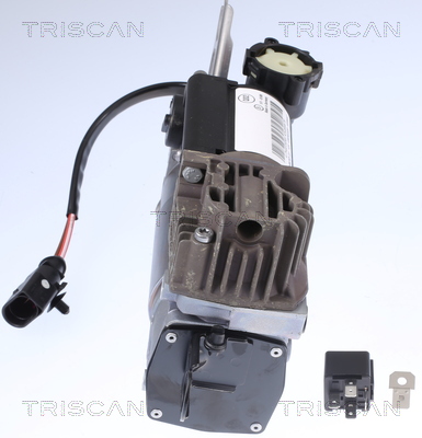 TRISCAN Kompressor, trykluftanlæg 8725 29102 for PORSCHE AUDI