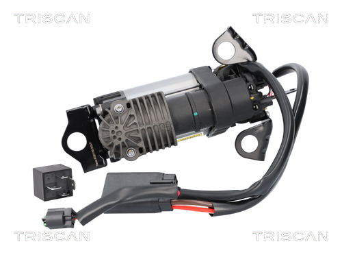 TRISCAN Kompressor, trykluftanlæg 8725 81103 for TESLA
