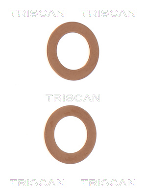 TRISCAN Bremseslange 8150 142128 for RENAULT