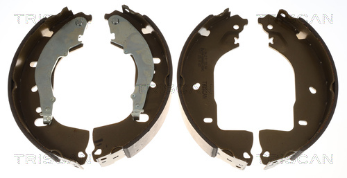 TRISCAN Bremsebakkesæt 810029007 for FORD VW CUPRA AUDI SKODA